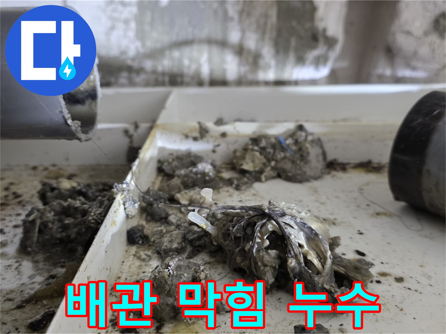 심각한 배관 막힘으로 인한 누수 - 노원구 중계동 라이프청구신동아아파트에서 발생