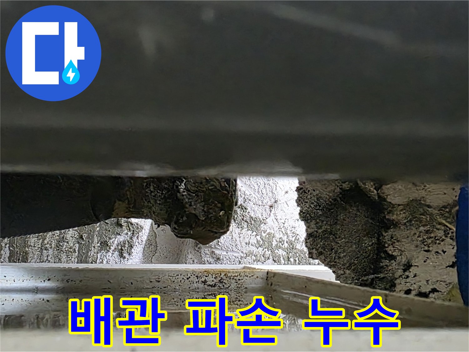 중계2동 라이프청구신동아 아파트 누수 - 파손된 배관에서 물이 솟아나고 있습니다 - 긴급 복구가 필요합니다.