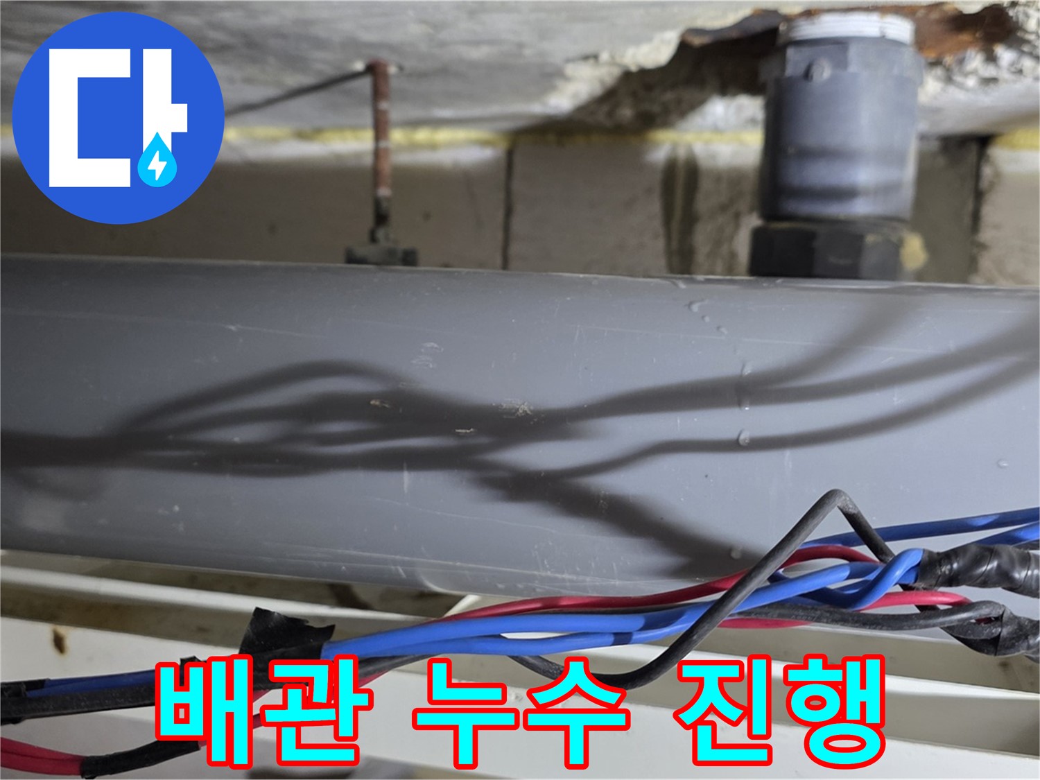 중계동 라이프청구신동아 아파트 배관 누수 진행 상황 - 노원구 누수 전문가가 긴급 확인합니다.