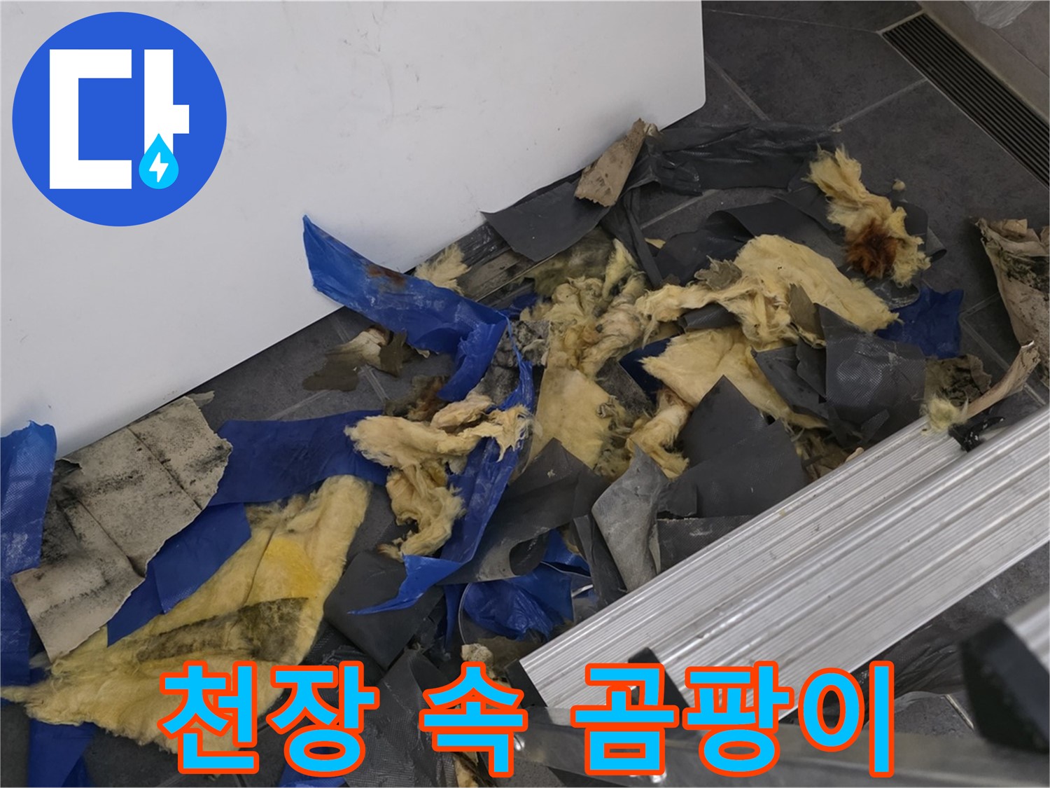 중계동 라이프청구신동아 아파트 - 천장 속 곰팡이 확인 - 건강 위협