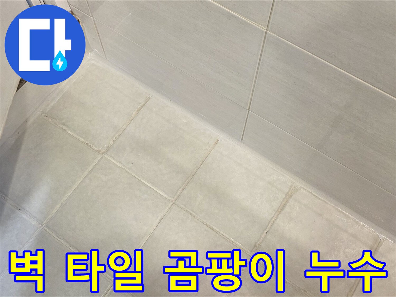 과천 누수 - 욕실 벽 타일 곰팡이와 누수 문제를 동시에 해결하여 쾌적한 욕실 환경을 만들어 드립니다.