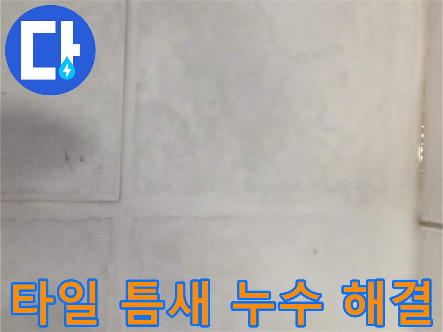 과천 누수 전문가 - 타일 틈새 누수 문제 완벽 해결