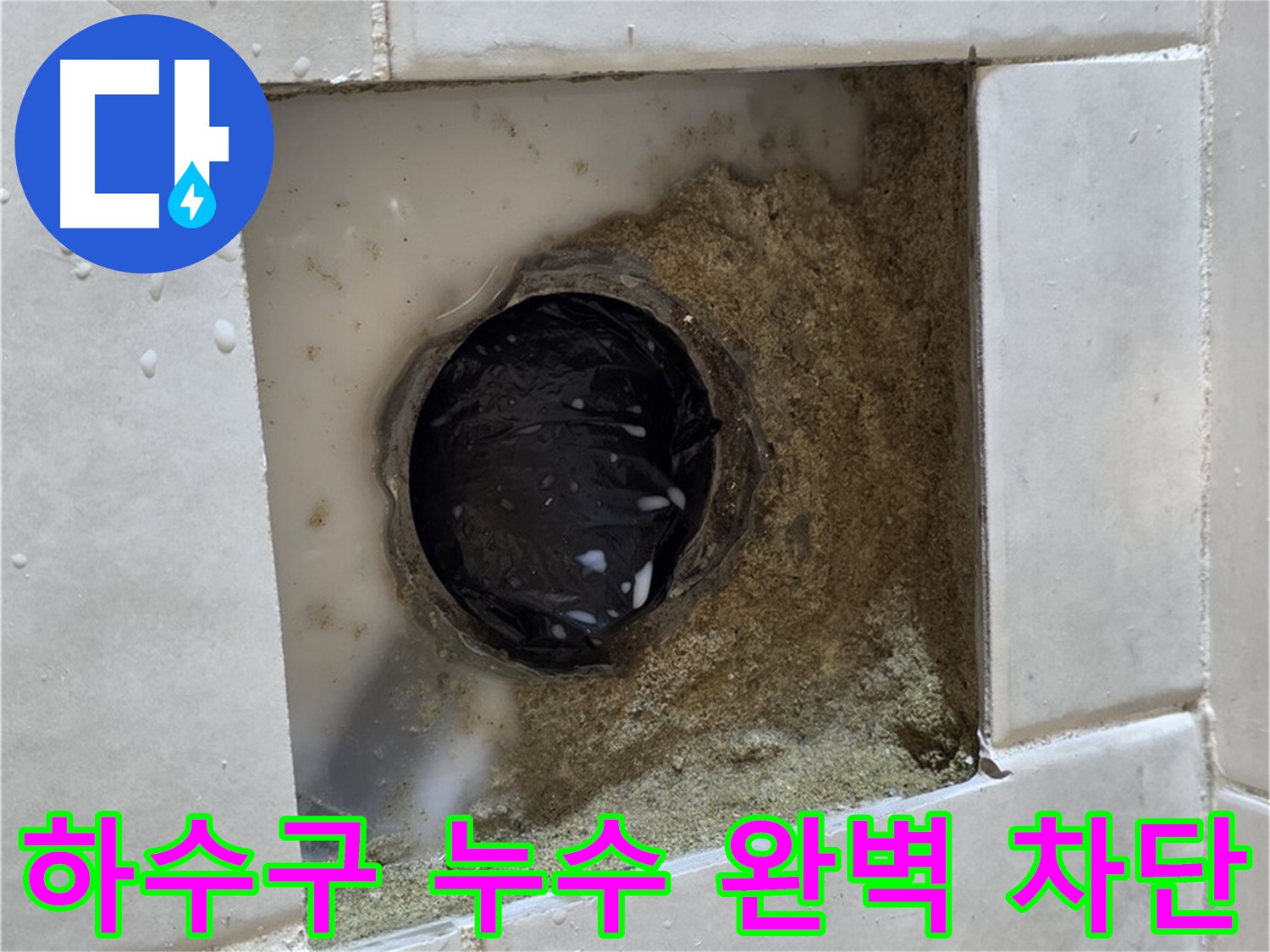 과천 문원동 세탁실 하수구 누수 - 젖어있는 하수구 주변, 완벽한 차단으로 속 시원하게 해결