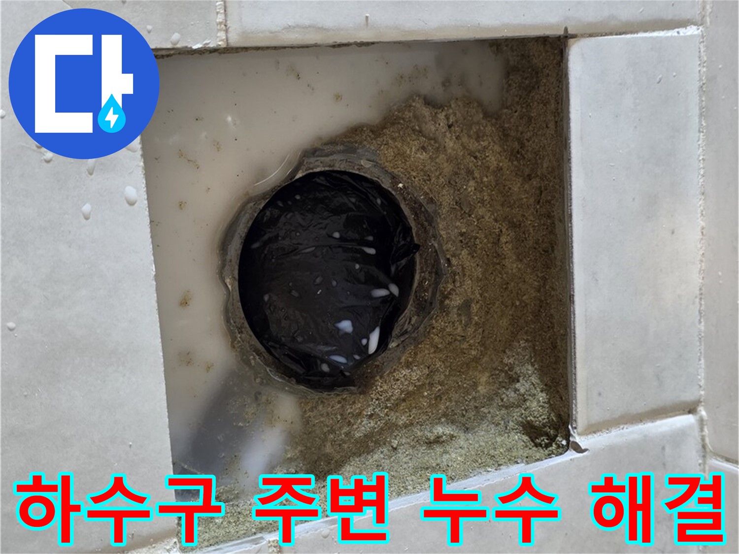 과천 문원동 세탁실 하수구 주변 누수 - 물이 고여있는 하수구, 신속하고 정확하게 해결