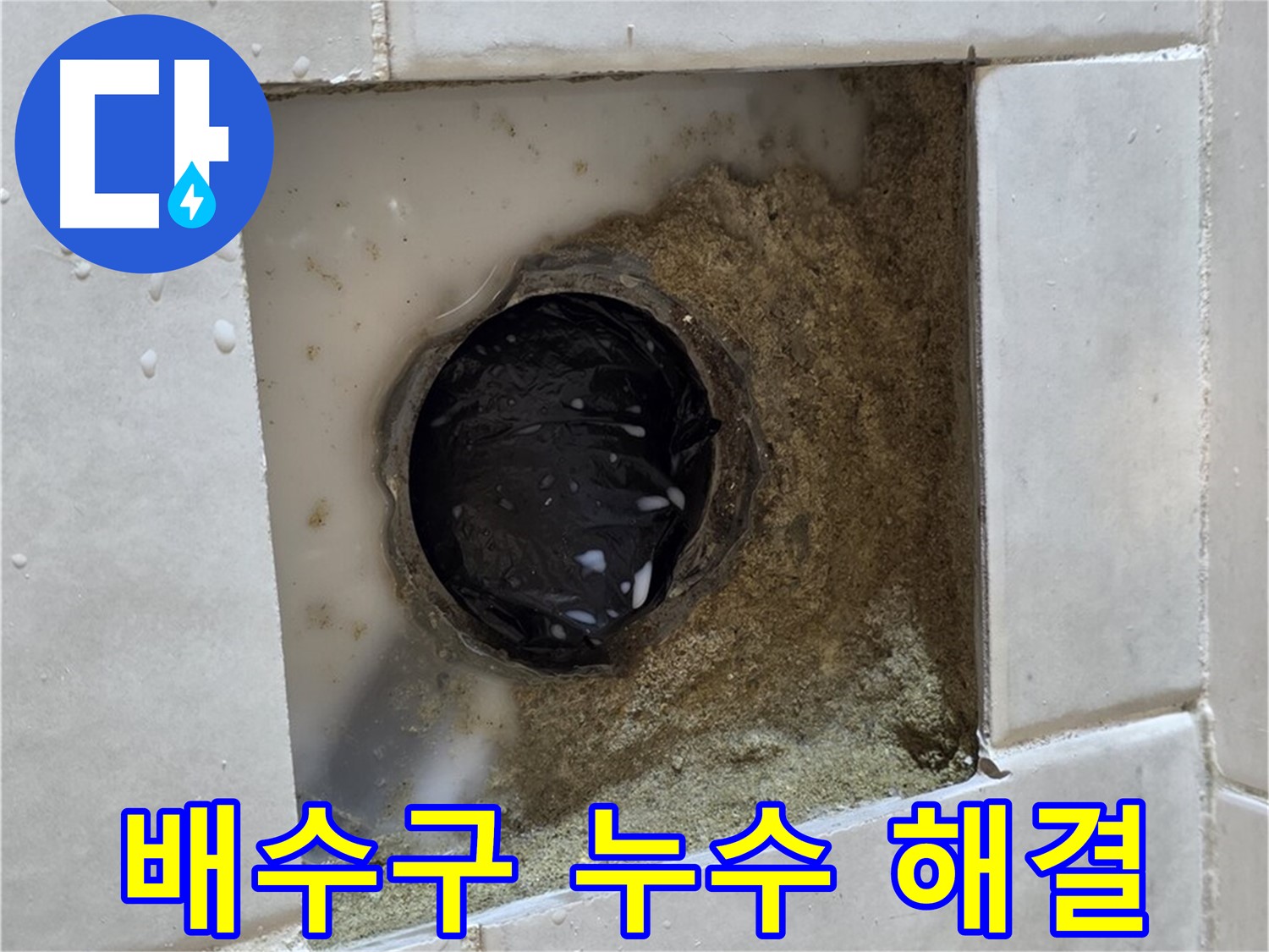 과천 문원동 욕실 배수구 주변 누수 - 젖어있는 배수구 주변, 완벽한 기술로 해결