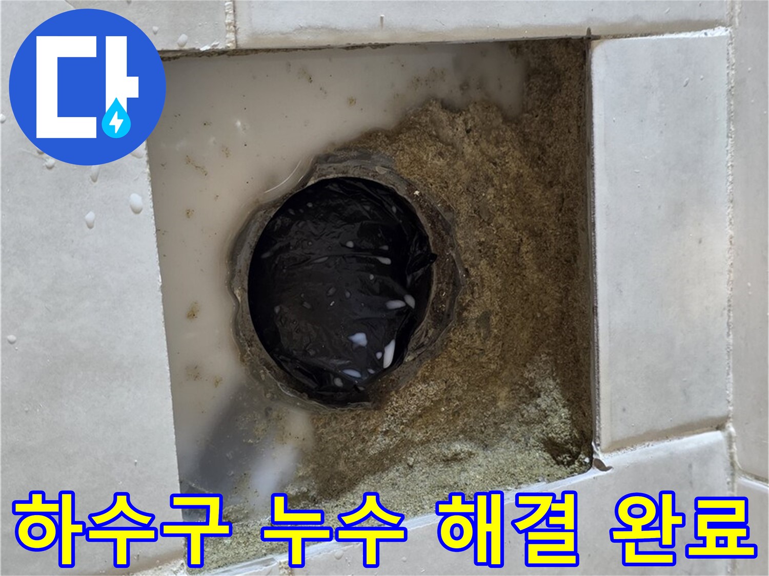 과천 문원동 욕실 하수구 누수 - 젖어있는 하수구, 숙련된 기술로 확실하게 해결 완료