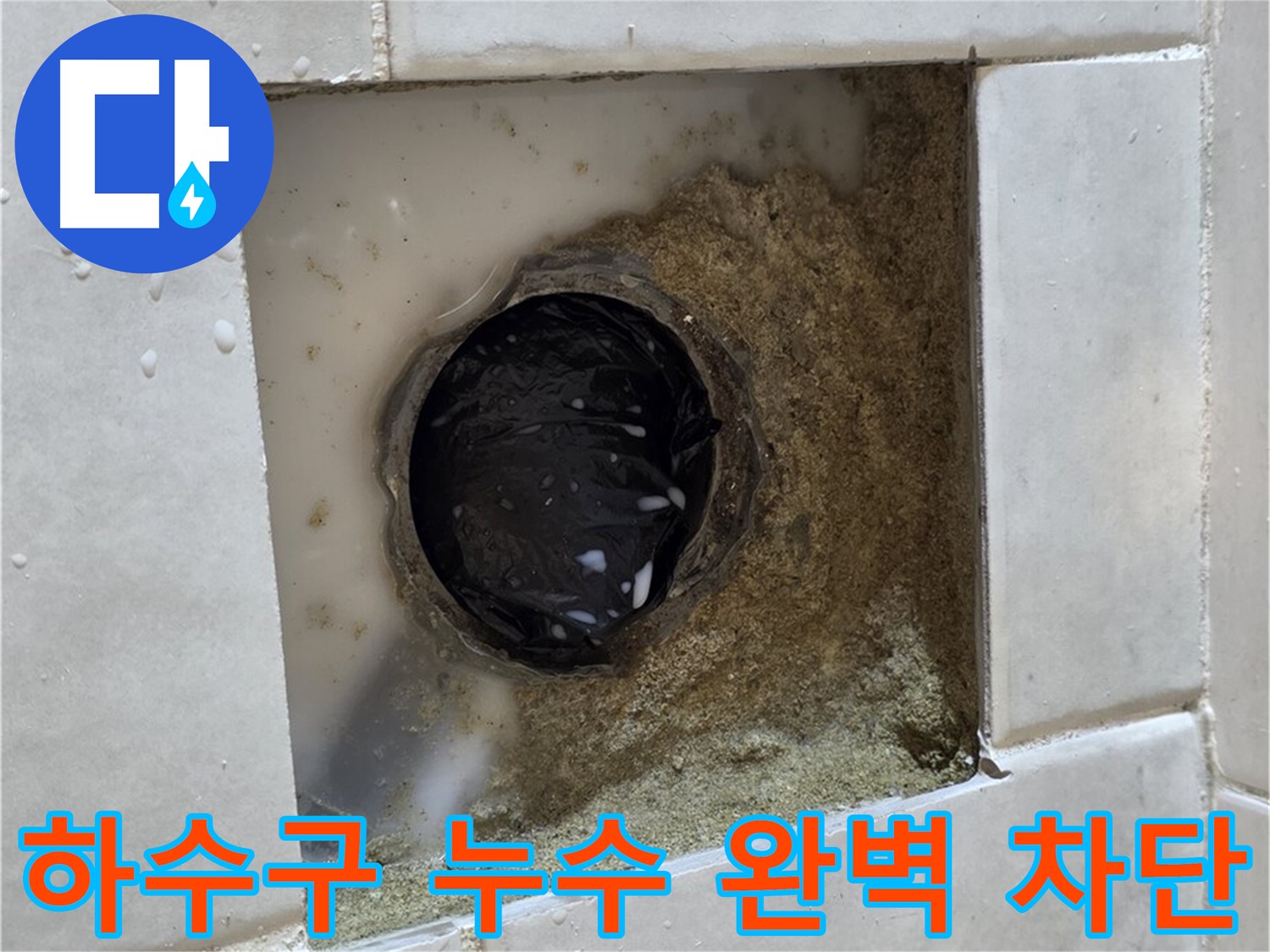 과천 문원동 욕실 하수구 누수 - 젖어있는 하수구 주변, 완벽한 차단으로 속 시원하게 해결