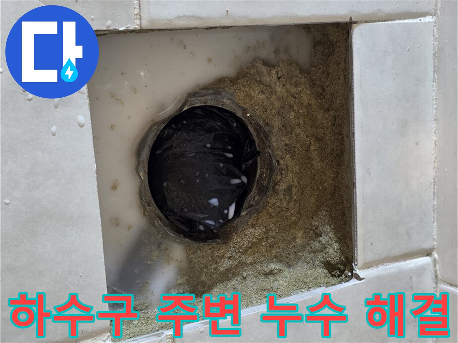 과천 문원동 욕실 하수구 주변 누수 - 물이 고여있는 하수구, 신속하고 정확하게 해결