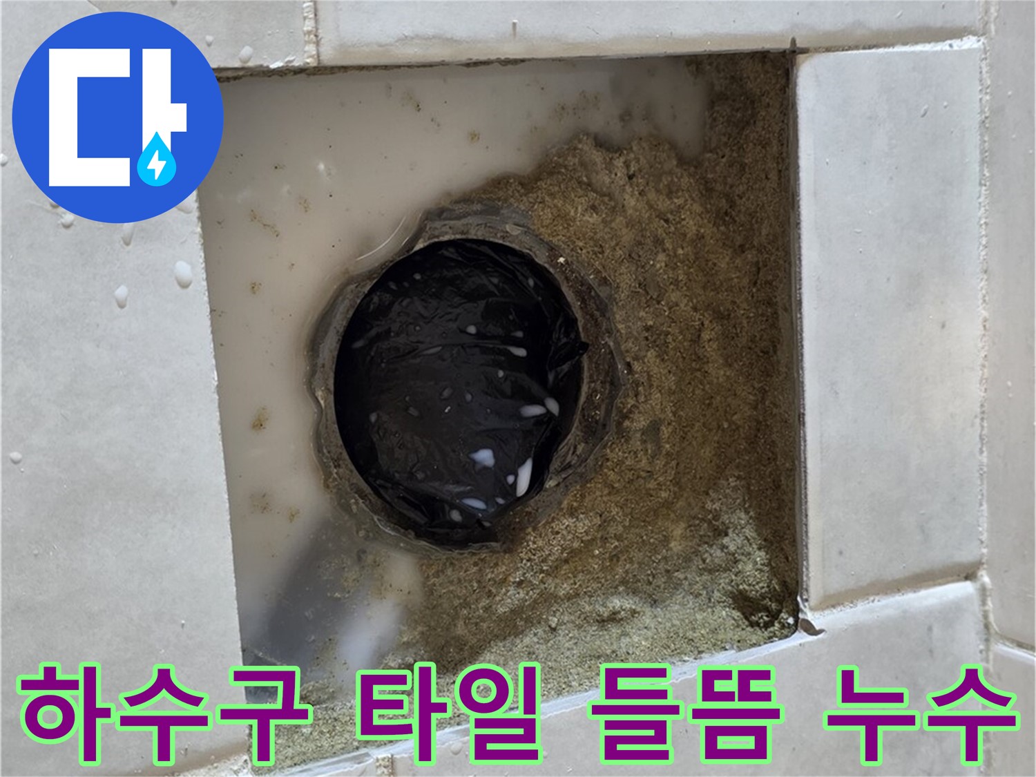 과천 문원동 욕실 하수구 주변 타일 들뜸 누수 - 노후된 하수구와 들뜬 타일, 정밀 누수 탐지와 보수