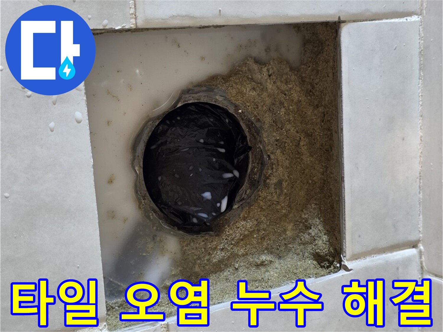 과천 문원동 욕실 하수구 주변 타일 오염 누수 - 더러워진 타일 틈새, 깨끗한 청소와 완벽한 방수