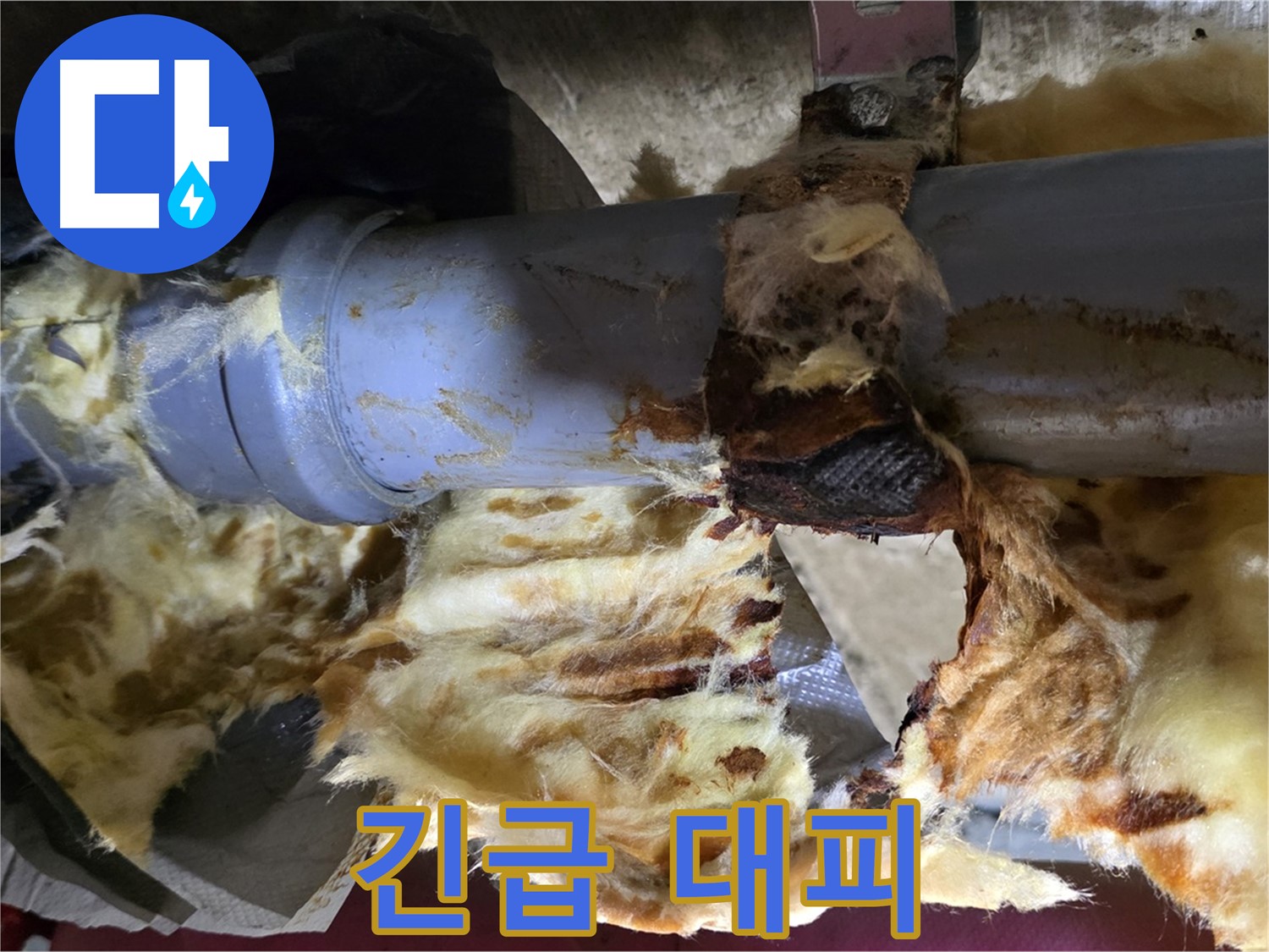 남양주 두산아파트 누수 - 배관 누수로 인해 젖은 단열재에 곰팡이가 슬어 곰팡이 포자가 확산되어 건강 위험! 긴급 대피가 필요합니다.