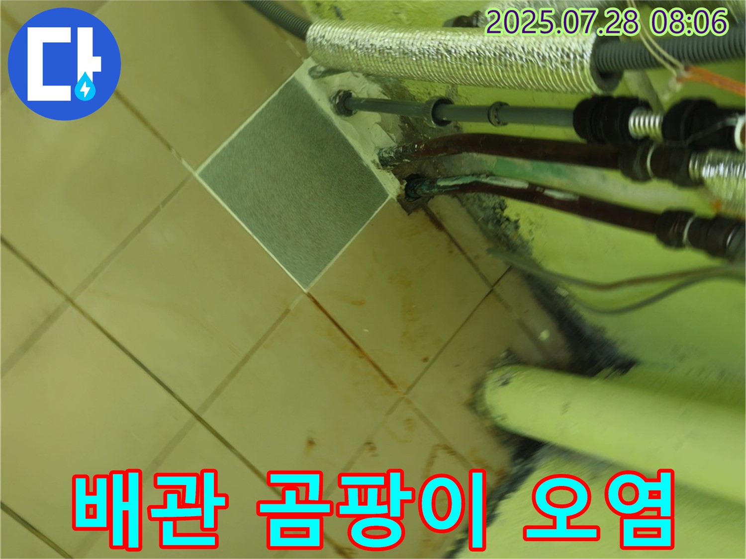남양주 화도 창현 두산아파트 누수 - 배관 주변 곰팡이는 누수 지속으로 인한 실내 공기 오염이 심각함을 나타냅니다.