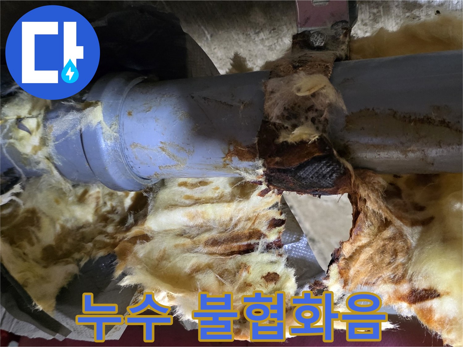 남양주 화도읍 두산아파트 누수 - 낡은 배관에서 누수가 발생하고 곰팡이가 피어난 불협화음의 현장입니다.