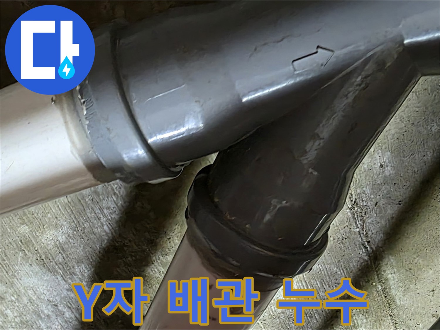 남양주 화도읍 창현리 두산아파트 Y자 배관 누수 - 복잡한 Y자 배관 누수도 문제없이 해결!