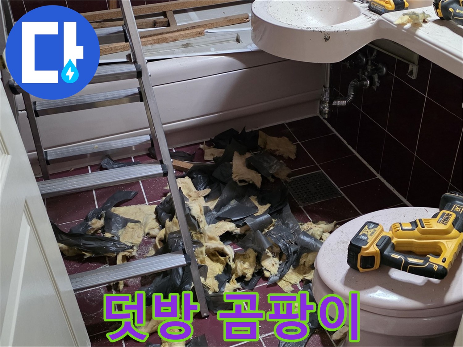 두산아파트 욕실 덧방 시공의 최후 - 철거 후 곰팡이 폭탄 맞다!