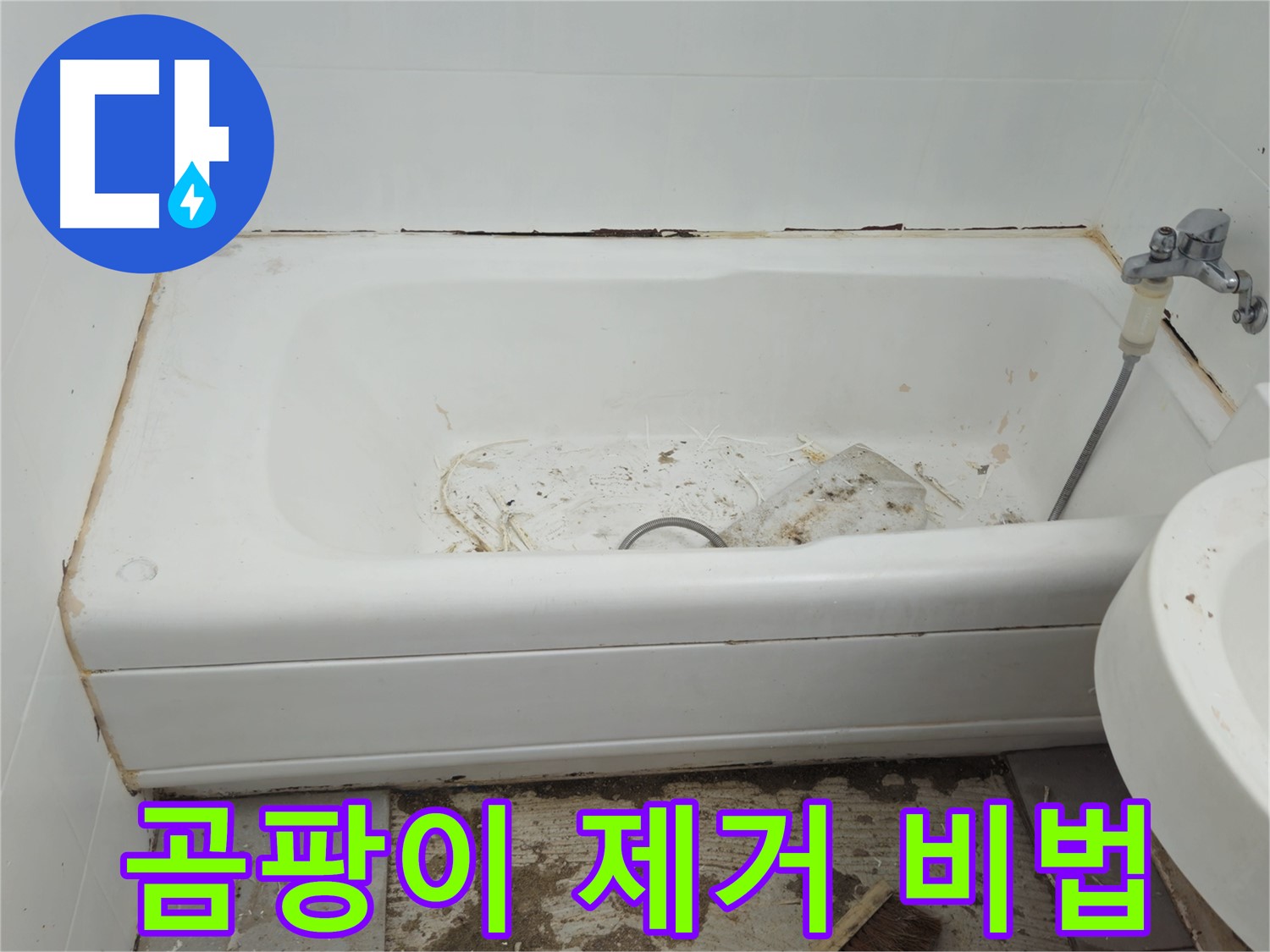 두산아파트 욕조 교체 - 30년 베테랑의 곰팡이 완벽 제거 비법