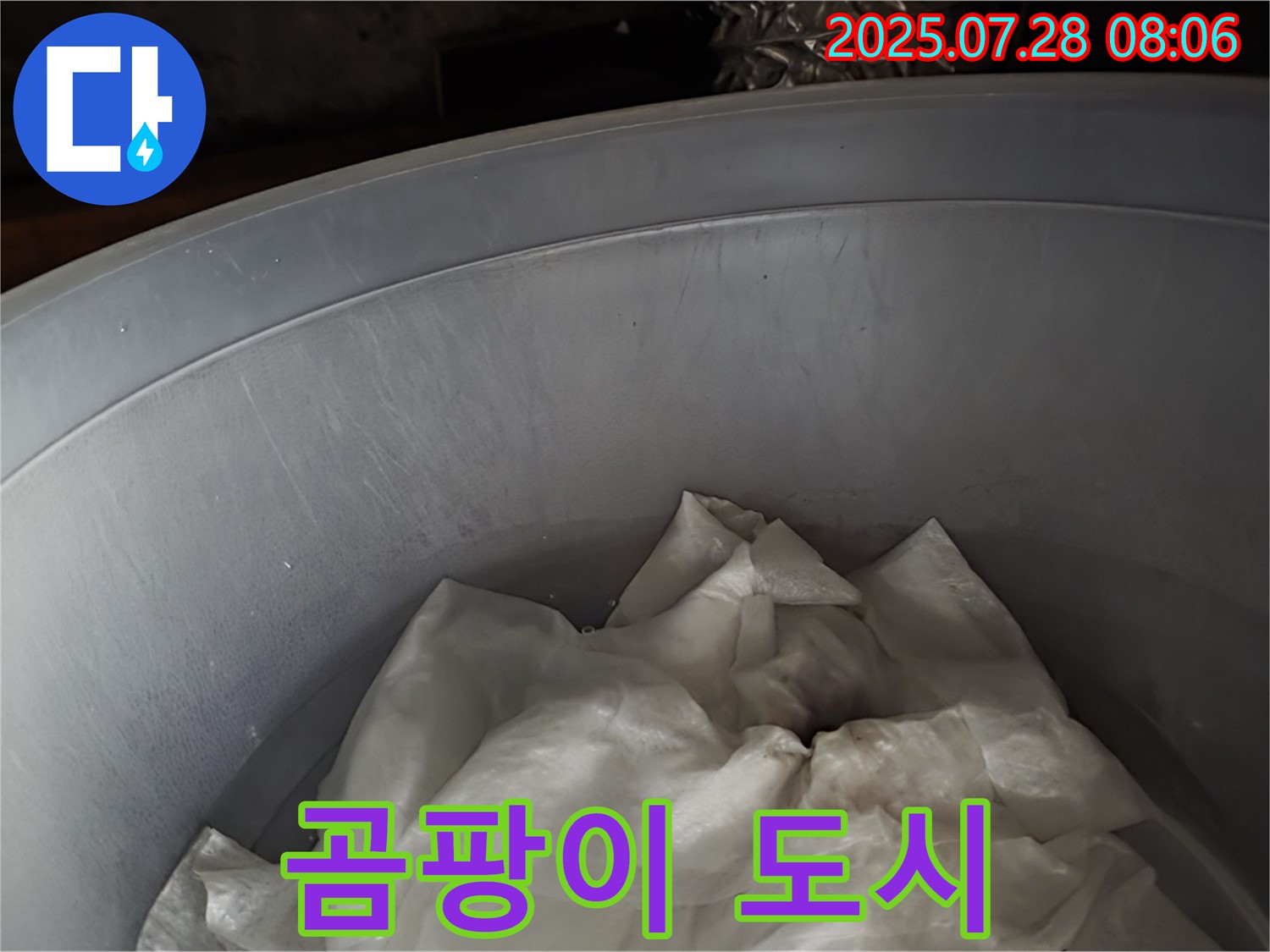 멈추지 않는 빗물 누수 - 양동이 속 젖은 휴지, 곰팡이 도시 계획 발표! 저희가 계획을 무산시켜 드립니다.