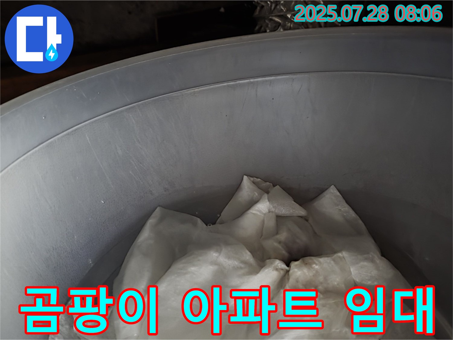 빗물 누수 - 양동이 속 젖은 휴지, 곰팡이 아파트 임대 중! 이제 전문가가 임대 사업을 종료합니다.