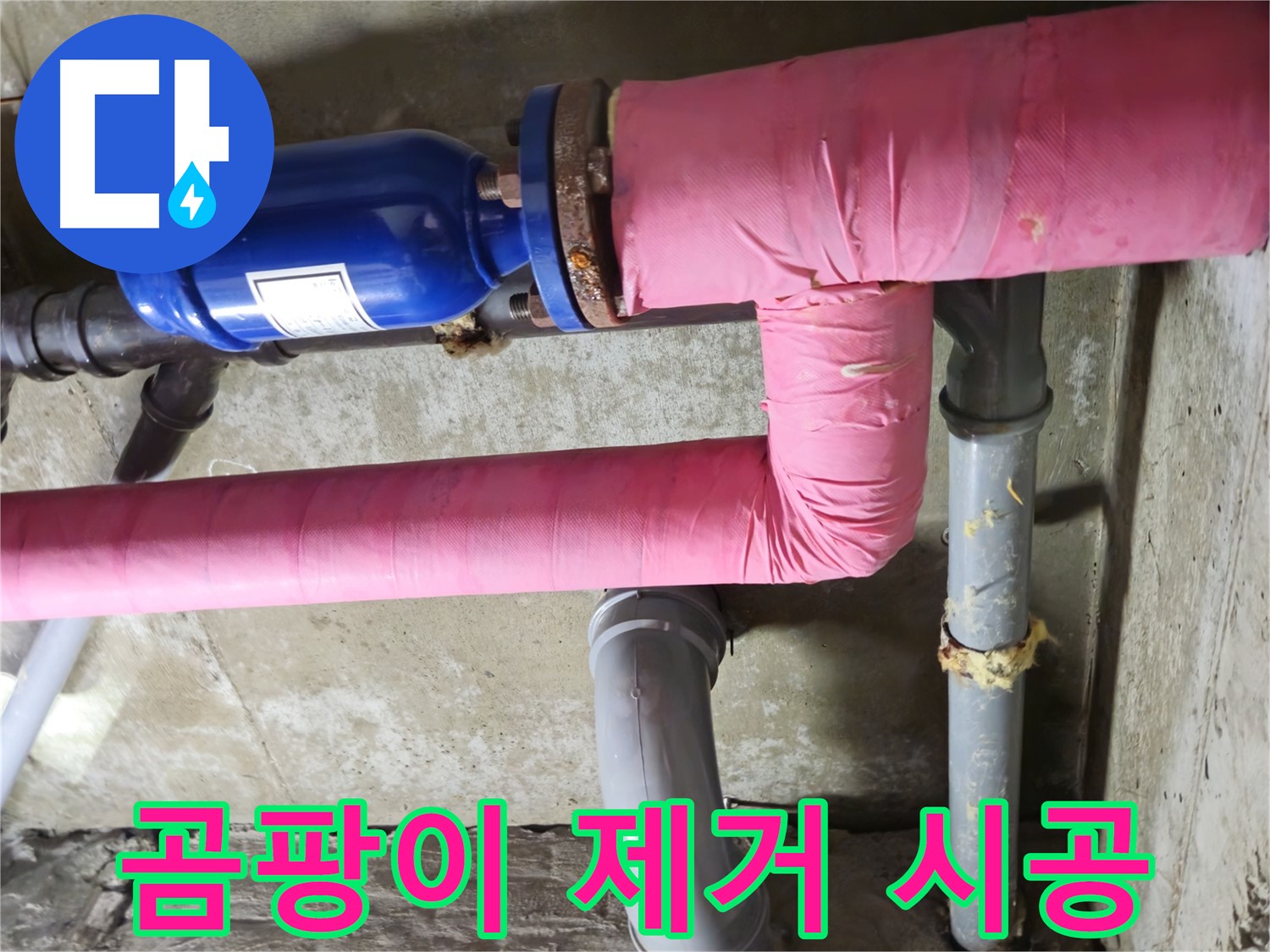 화도 창현 두산아파트 누수 - 곰팡이 걱정 없이 깨끗하게! 누수 해결 후 곰팡이 제거 및 방지 시공!