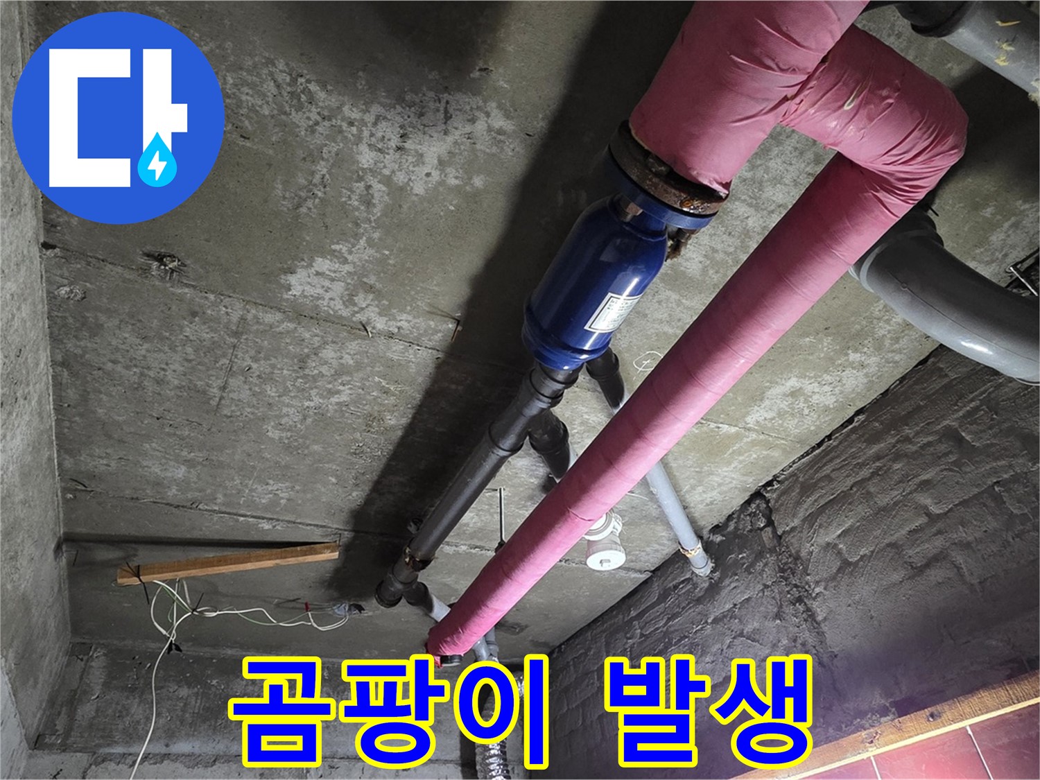 화도읍 두산아파트 누수 - 누수로 인해 발생한 곰팡이와 곰팡이 제거 작업 모습
