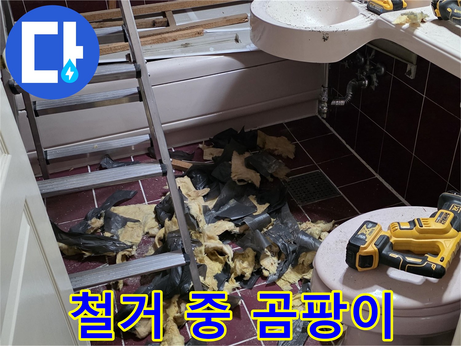 화도읍 두산아파트 욕실 철거 중 드러난 곰팡이 - 누수의 흔적, 완벽 제거