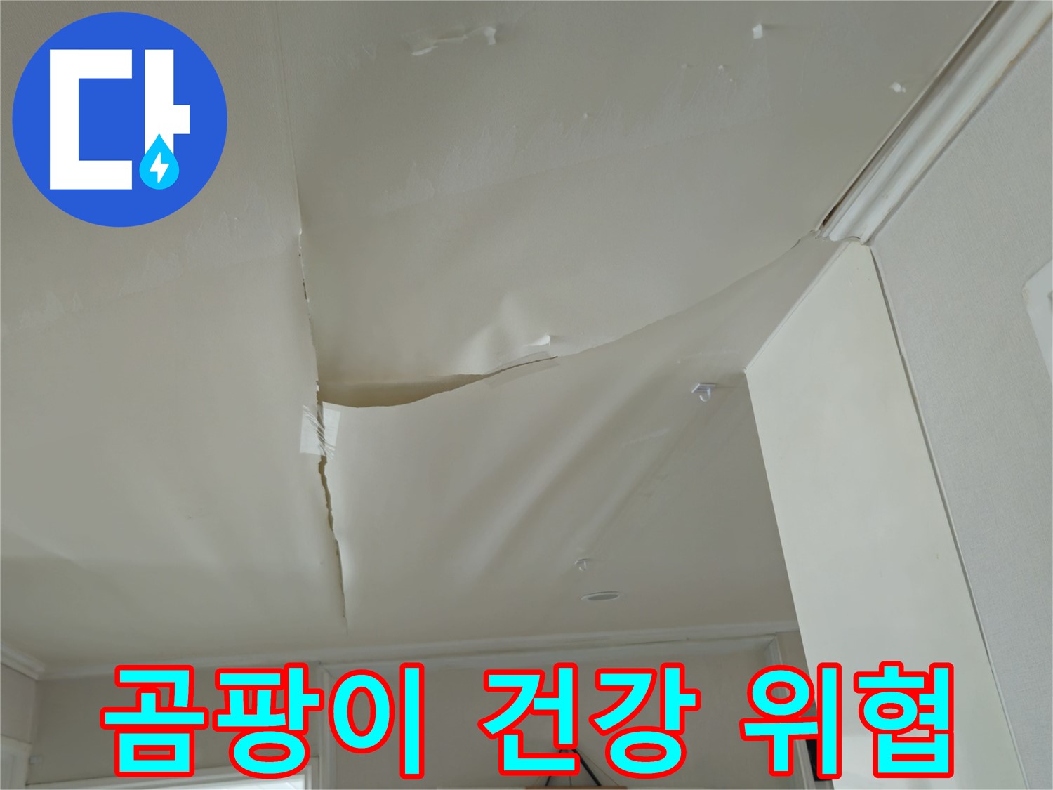화도읍 두산아파트 천장 누수 - 곰팡이 천국, 가족 건강 위협!