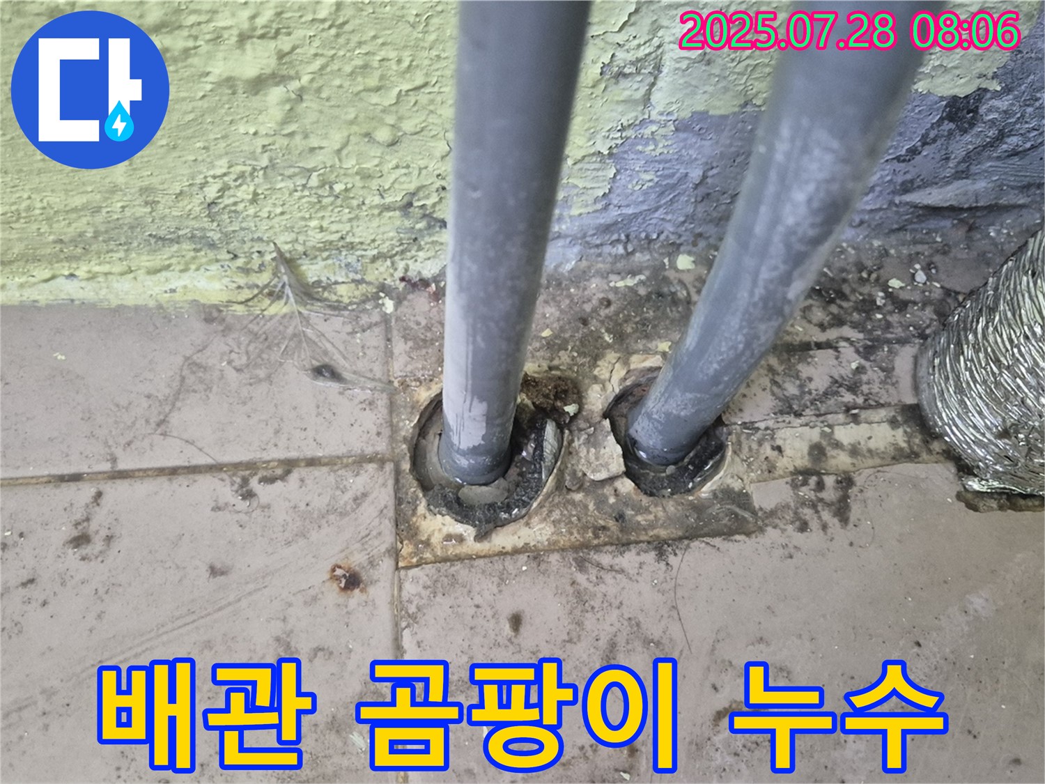 화도읍 - 배관 주변 곰팡이 발견 - 두산아파트 누수 가능성 의심 및 정밀 진단