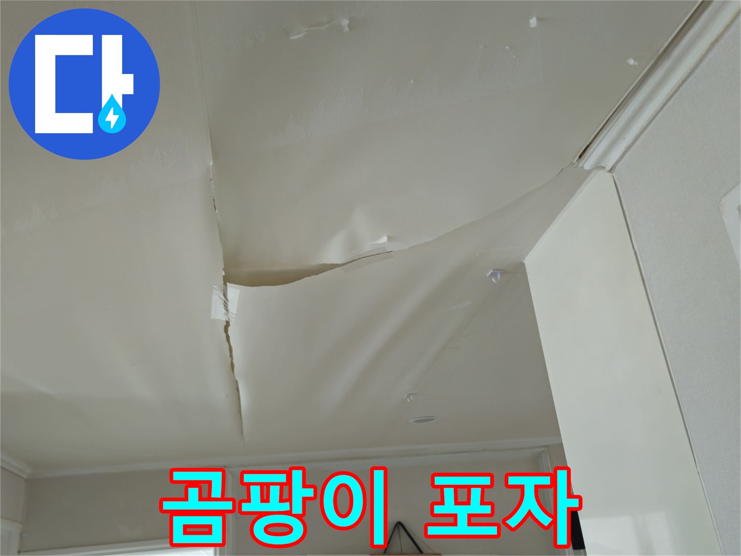 화도읍 창현리 두산아파트 천장 누수 - 곰팡이 포자, 온 가족을 공격한다!