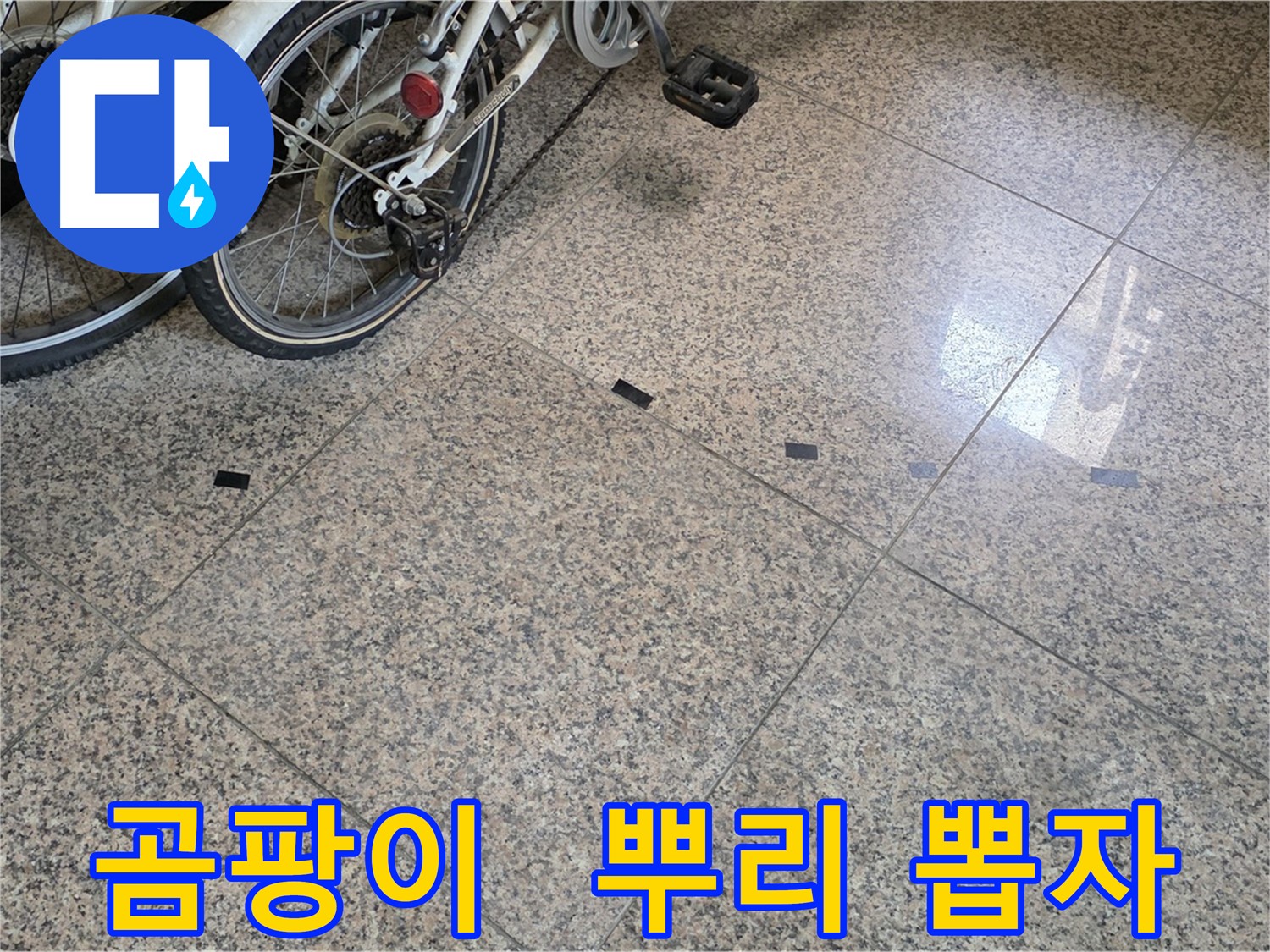 고양시 덕양구 누수 - 타일 틈새 검은 곰팡이, 완벽 제거 목표