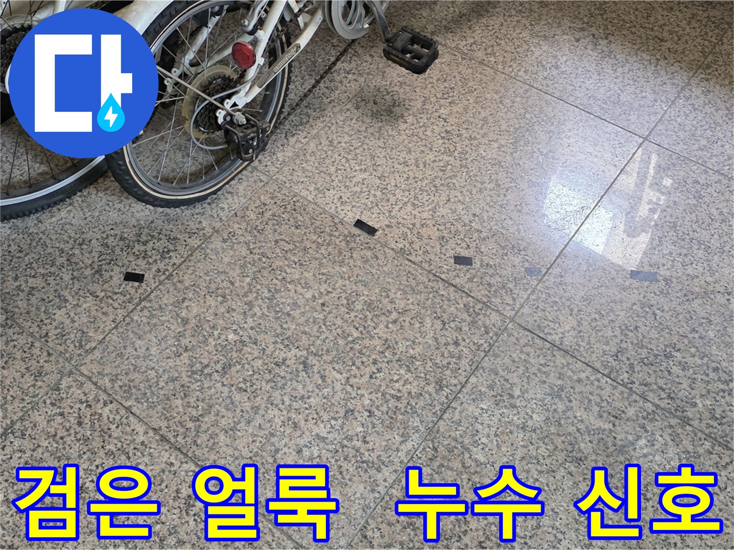 고양시 덕양구 누수 - 타일 틈새 검은 얼룩, 누수 가능성 의심