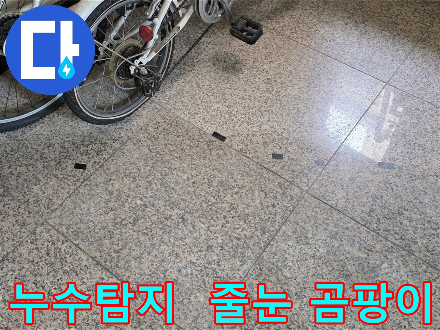 덕양구 누수 - 대리석 타일 줄눈 곰팡이 문제, 누수탐지 전문
