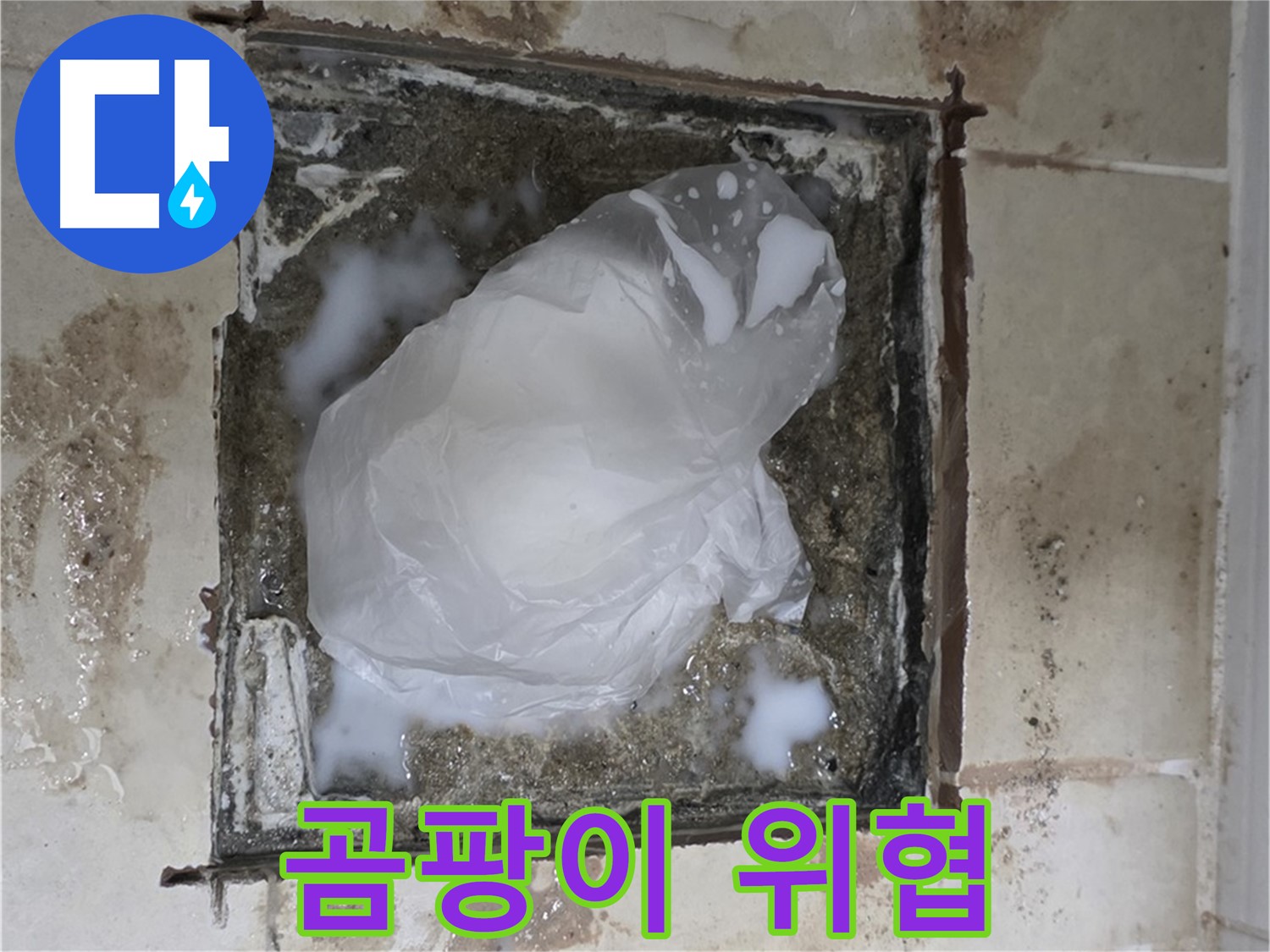 동산동 욕실 배수구 누수 - 곰팡이 가득한 배수구, 건강까지 위협