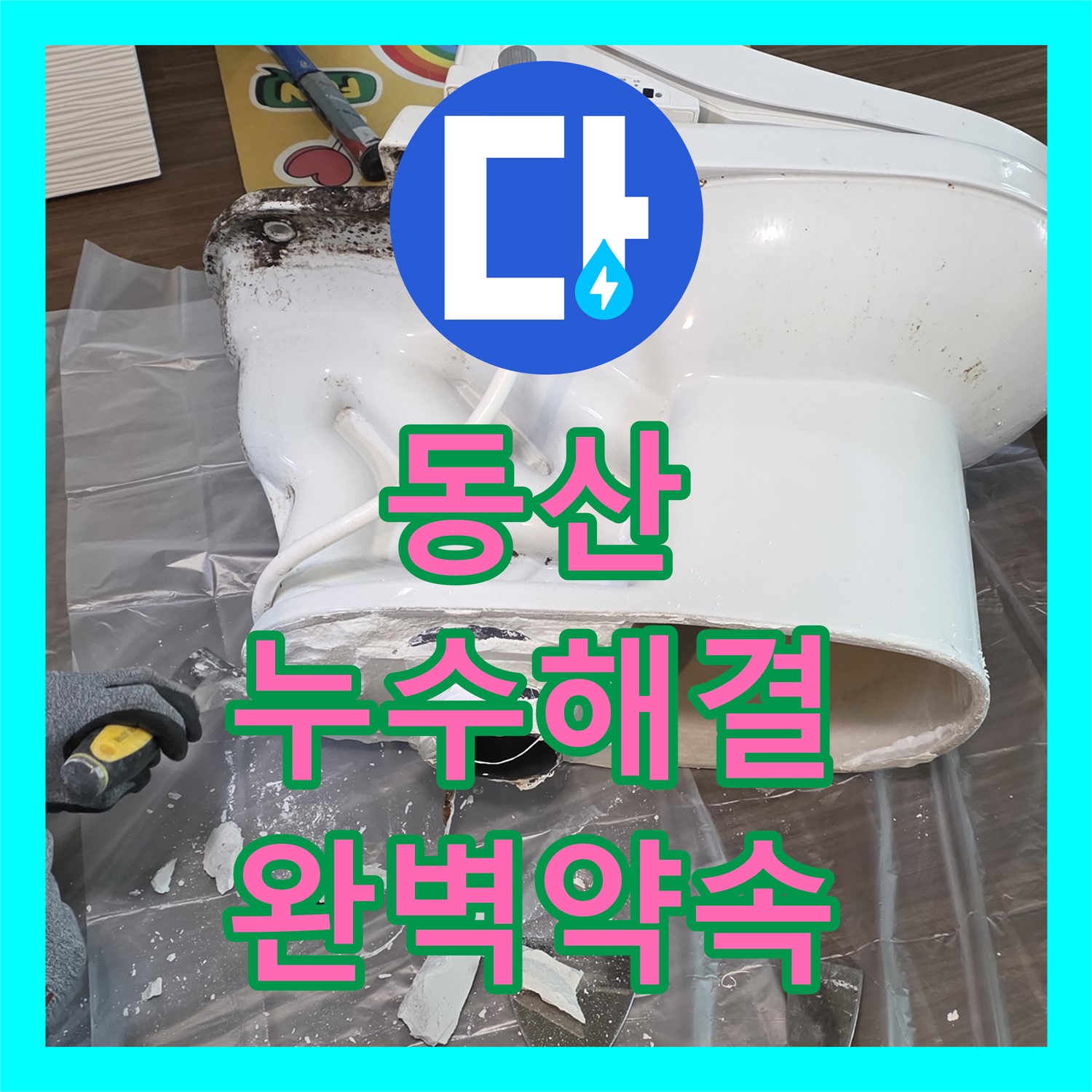 젖은 현관, 고양 동산, 누수전문업체, 완벽한 해결 약속