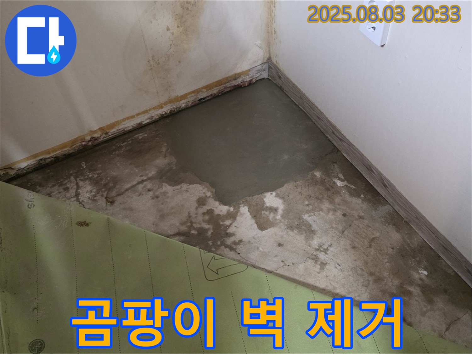곰팡이 벽 완벽 제거 후기 - 고객 만족 누수 해결 서비스