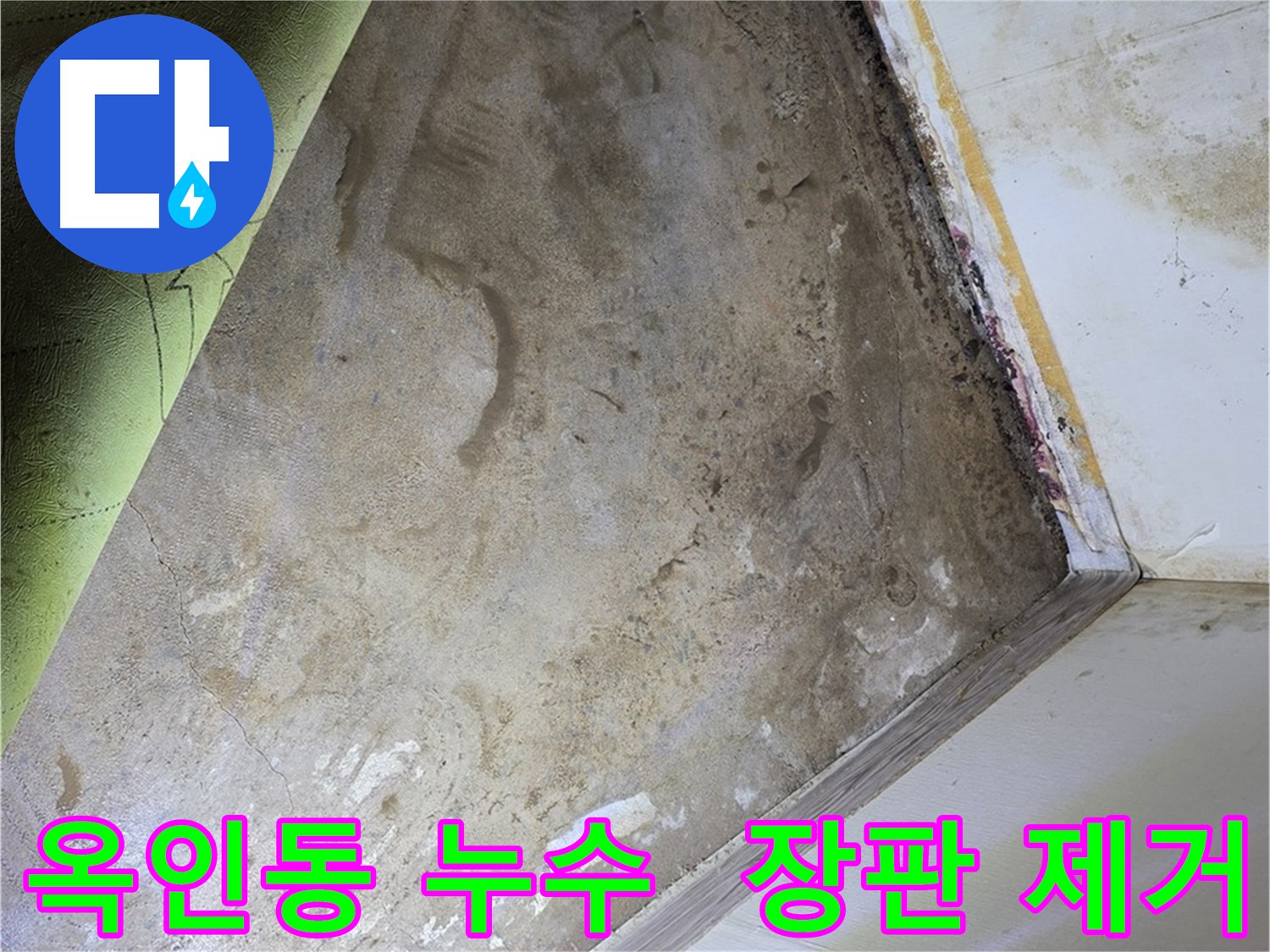 옥인동 누수 - 곰팡이 제거를 위해 장판 제거 중