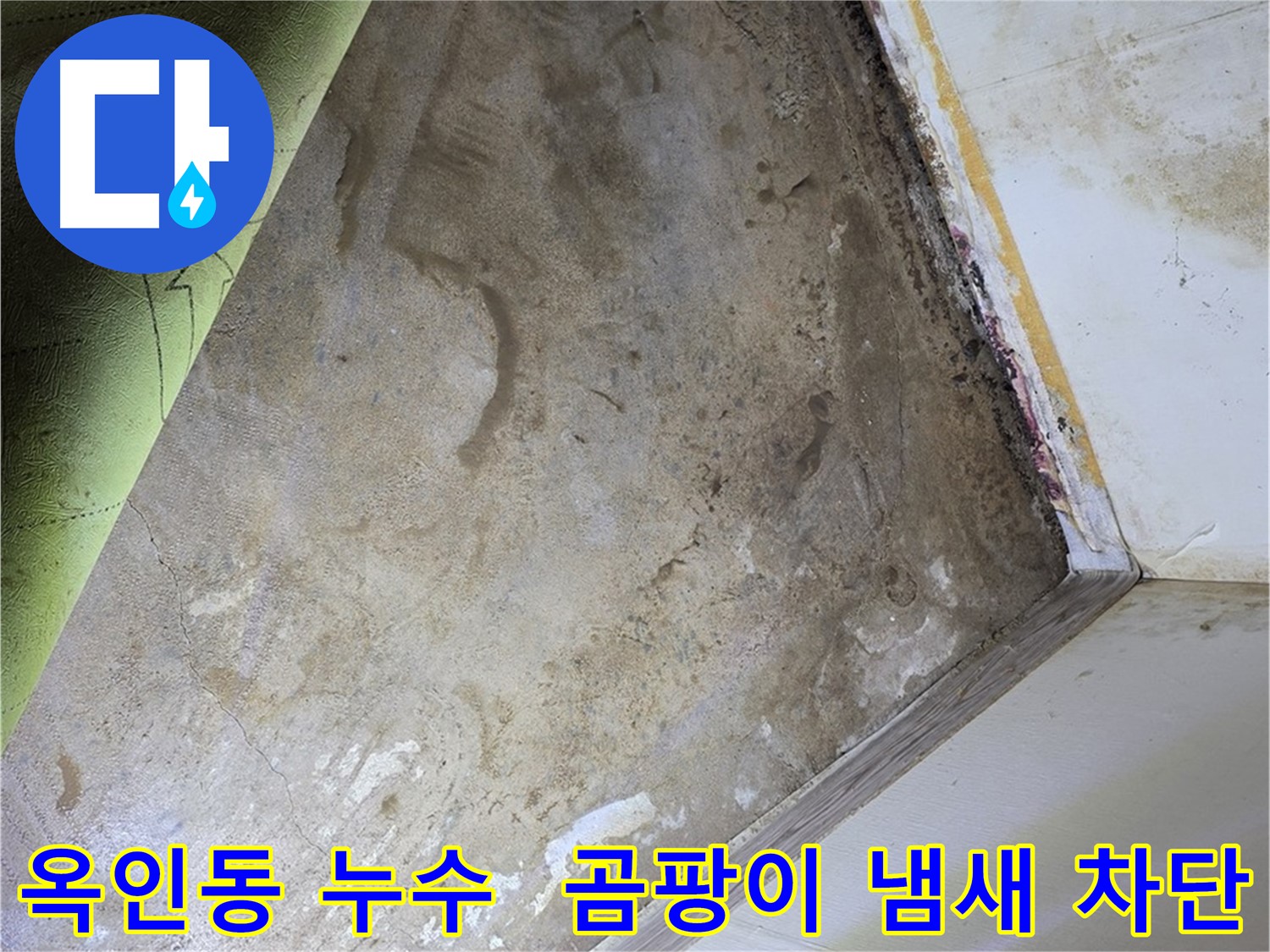 장판 밑 곰팡이 냄새 - 옥인동 냄새 원인 차단 및 습도 관리