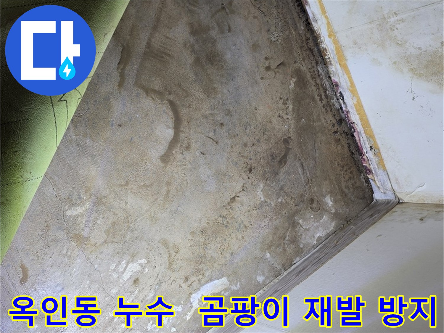 장판 밑 곰팡이 - 옥인동 곰팡이 재발 방지 솔루션
