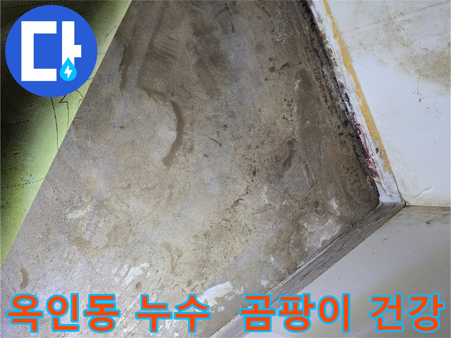 장판 밑 곰팡이 - 옥인동 곰팡이 제거 후 건강한 공간