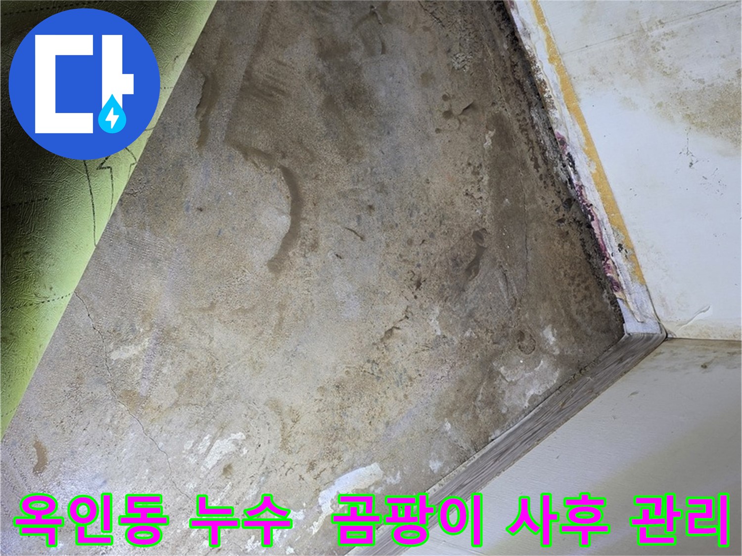 장판 밑 곰팡이 - 옥인동 곰팡이 제거 후 철저한 사후 관리
