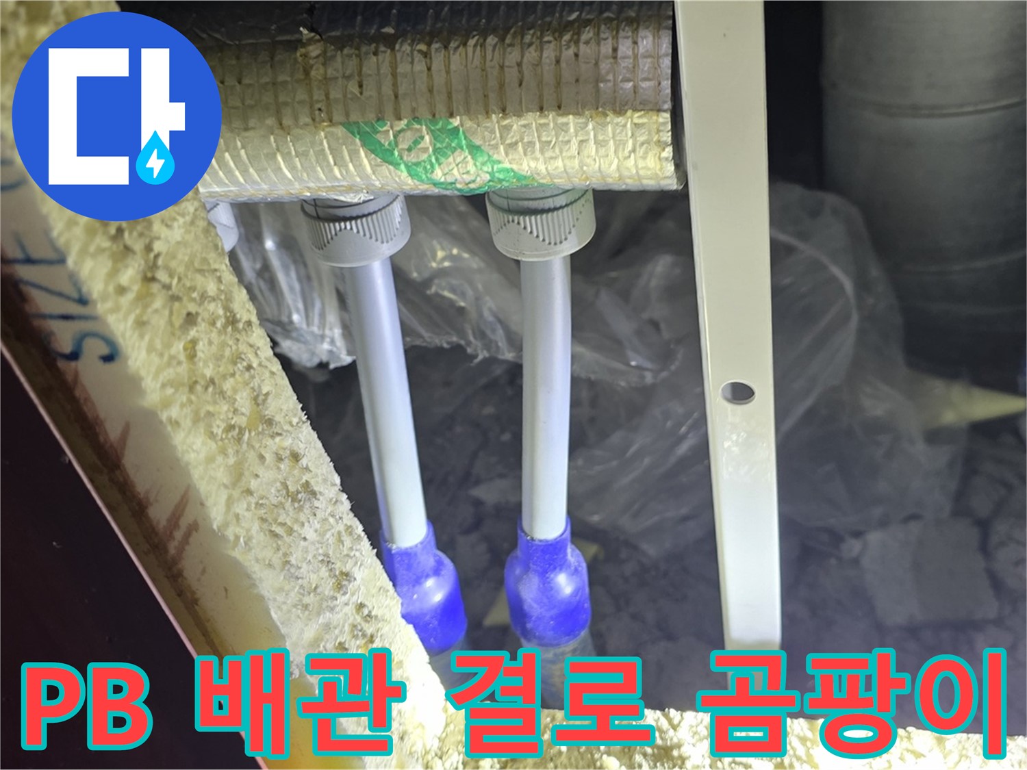 삼숭동 누수 예방 - PB 배관 주변 결로 발생 및 곰팡이 성장 가능성 사전 확인