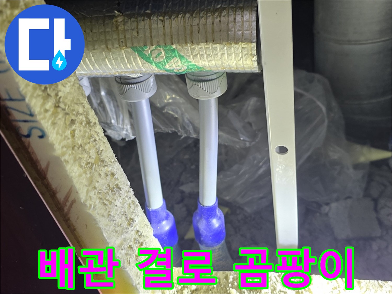 삼숭동 누수 예방 - 배관 주변 결로 발생 및 곰팡이 서식 가능성 사전 점검