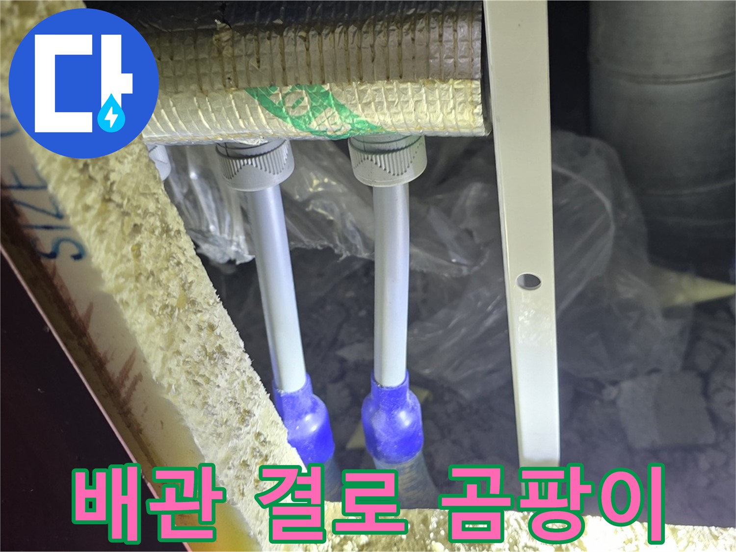 삼숭동 누수 예방 - 배관 주변 결로 발생 및 곰팡이 서식 환경 사전 점검
