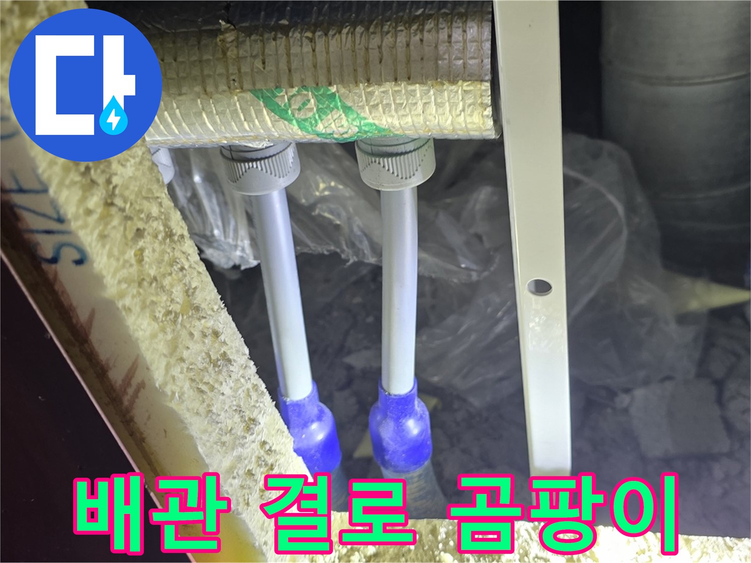삼숭동 누수 예방 - 배관 주변 결로 발생 및 곰팡이 서식 환경 사전 점검