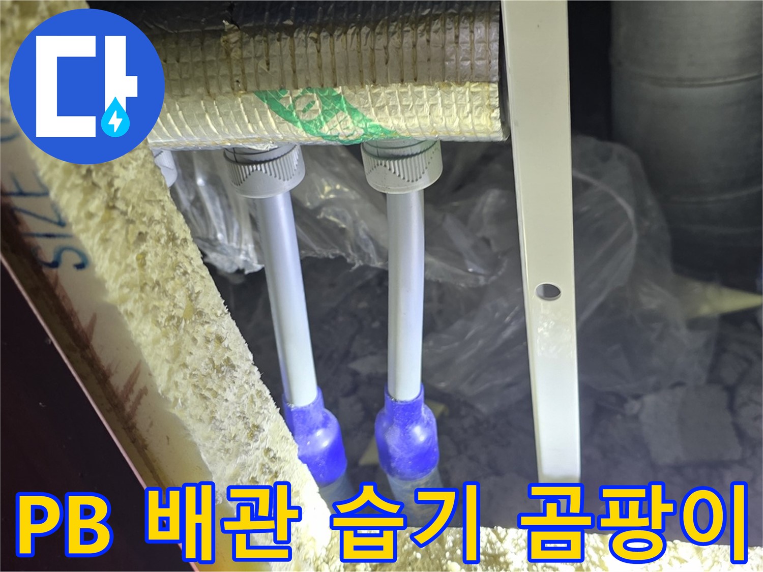 삼숭동 양주자이 아파트 누수 - PB 배관 연결 부속 주변 습기 및 곰팡이 발생 여부 면밀 조사