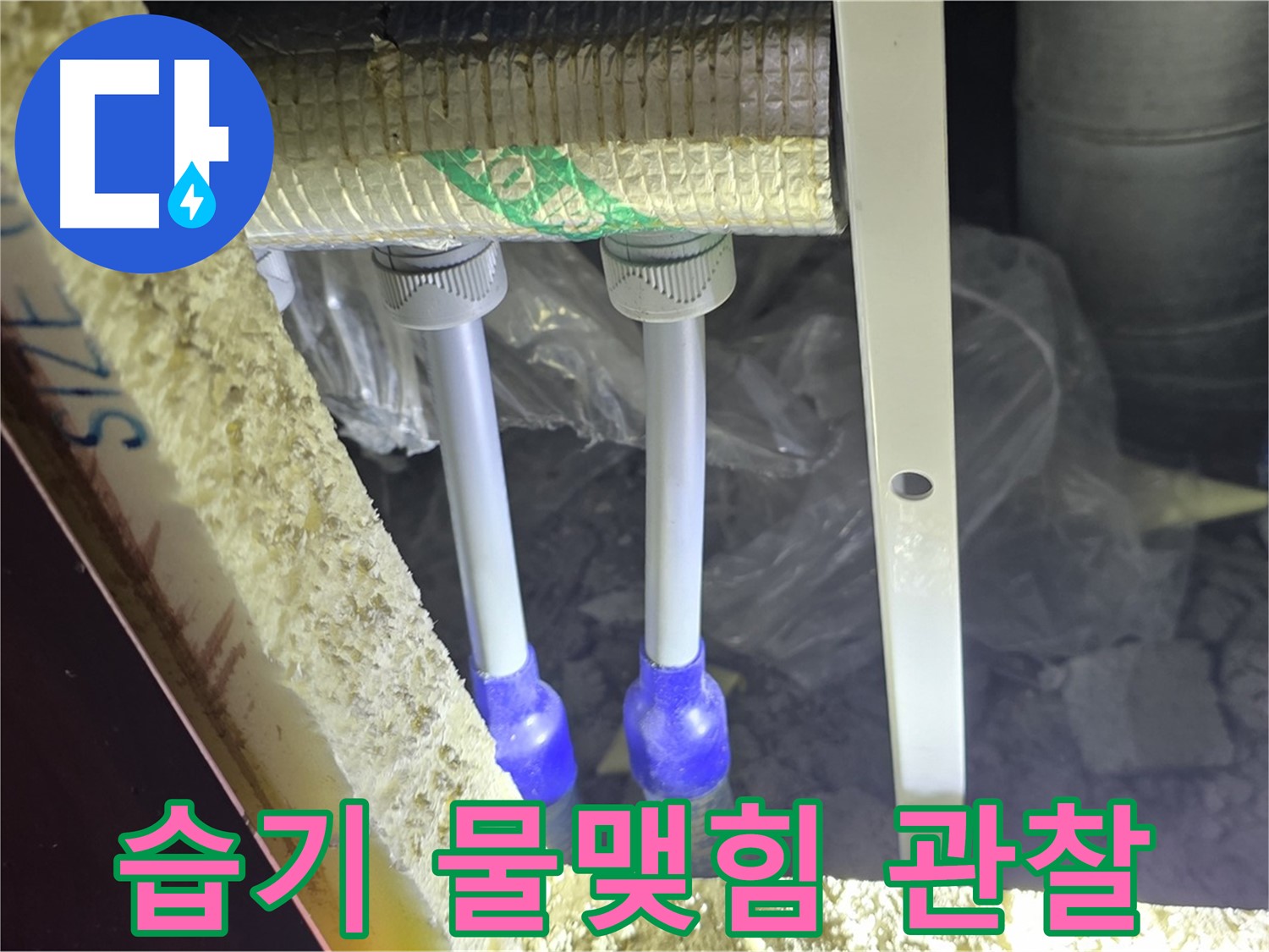 삼숭동 양주자이 아파트 누수 - 배관 연결 부속 주변 습기 및 물맺힘 현상 집중 관찰