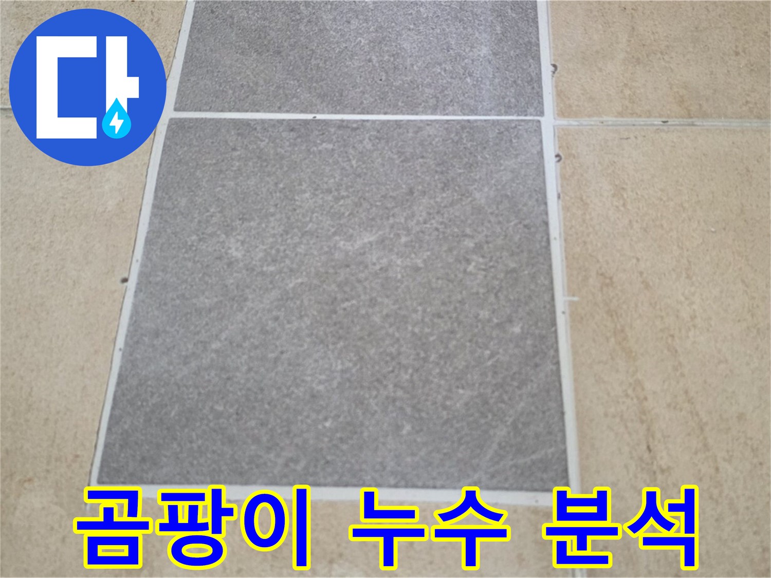 양주 삼숭동 아파트 - 타일 틈새 곰팡이 발생과 누수의 관계를 분석하고 있습니다.