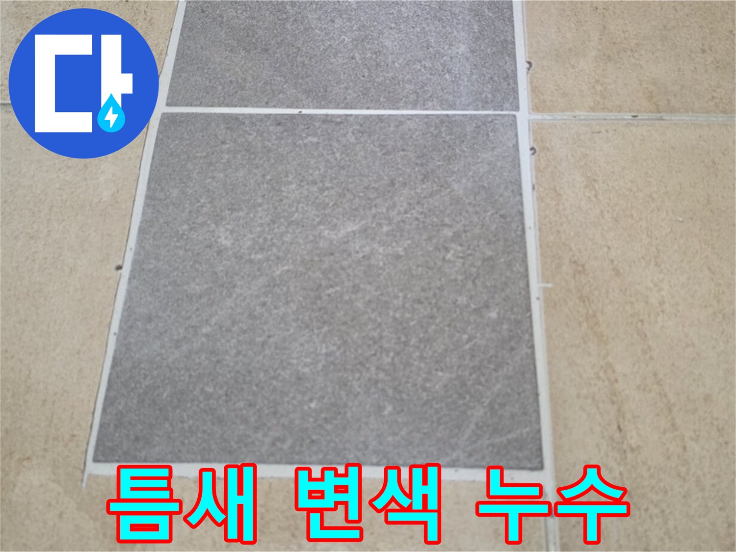 양주 삼숭동 아파트 - 타일 틈새 변색 상태를 확인하여 누수 가능성을 진단하고 있습니다.