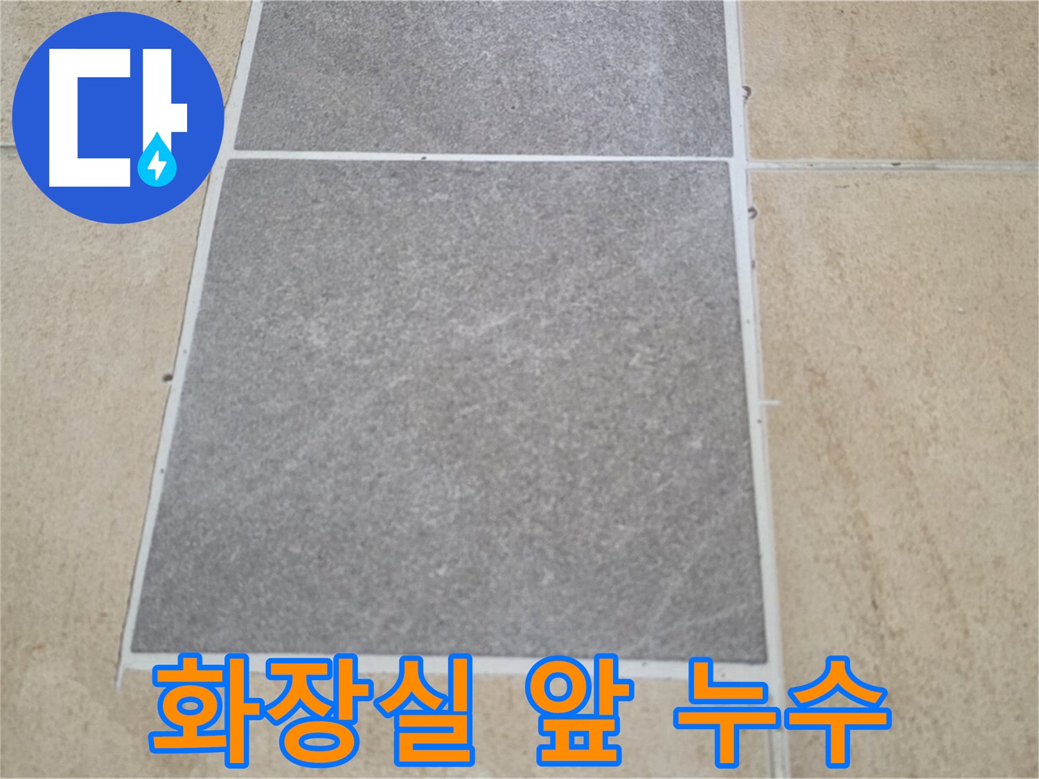 양주 삼숭동 아파트 - 화장실 앞 타일과 마루 연결 부위의 누수 원인을 분석하고 있습니다.