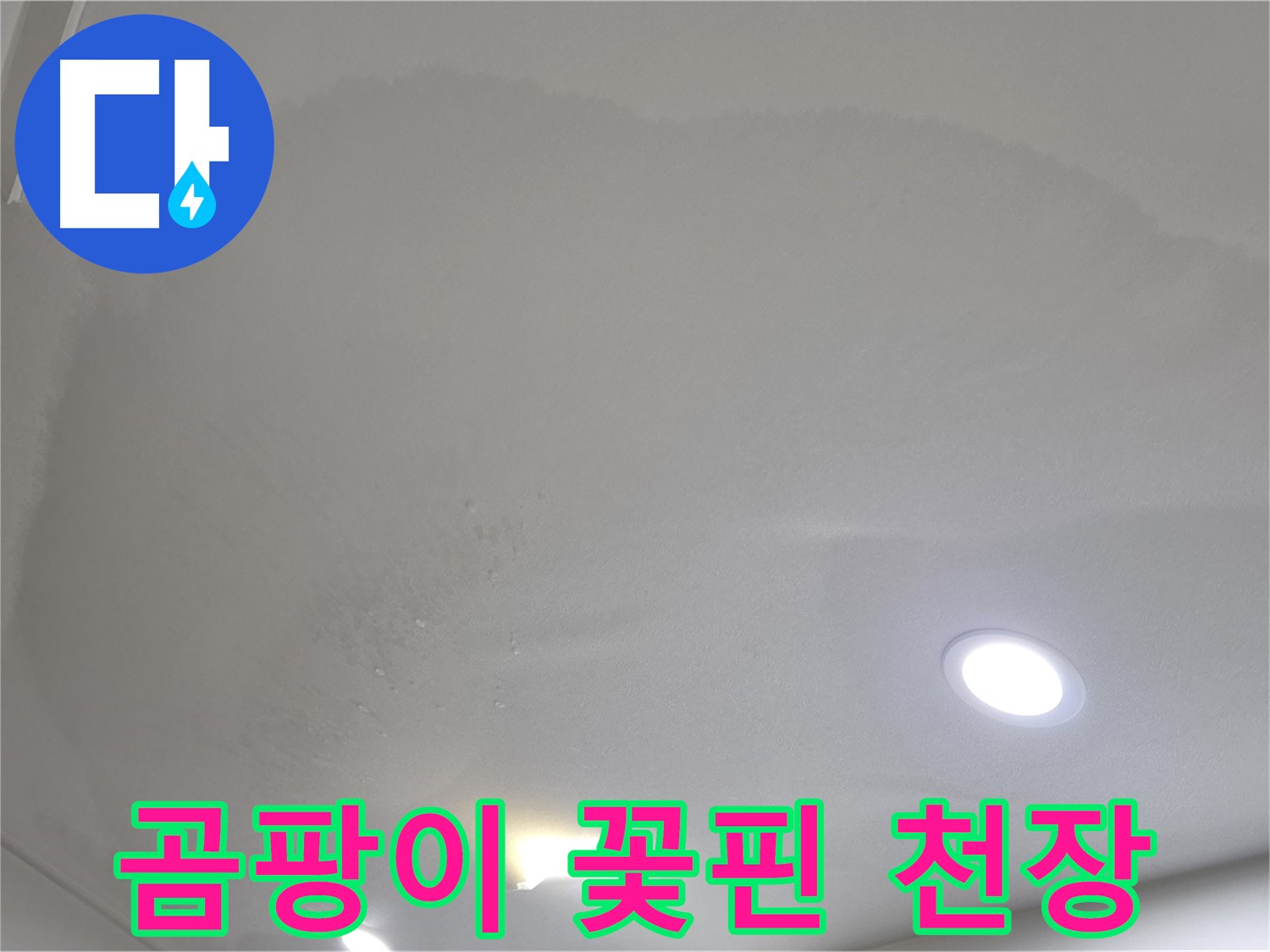 양주 삼숭동 자이 107동 - 곰팡이 꽃핀 천장 - 건강 위협