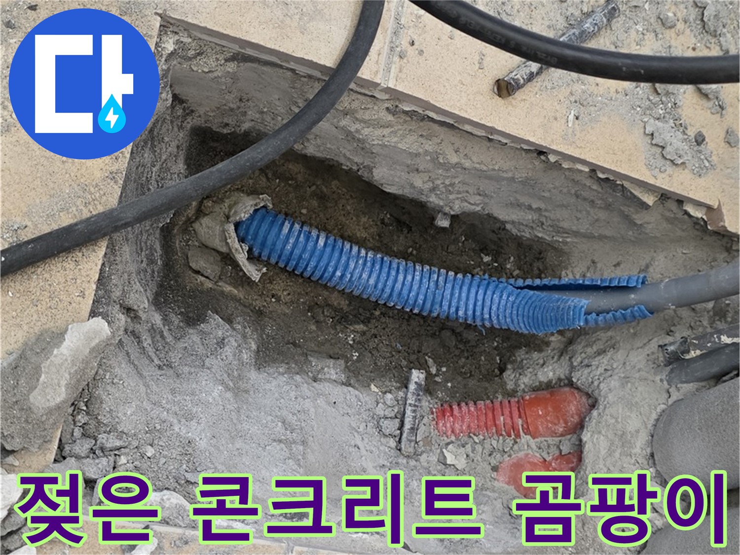 양주 삼숭동 자이아파트 누수 - 굴착 후 젖은 콘크리트와 곰팡이 핀 벽면